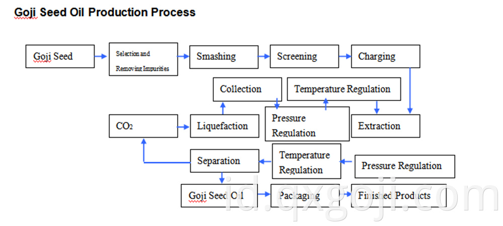 Prodtction Process Of Goji Seed Oil